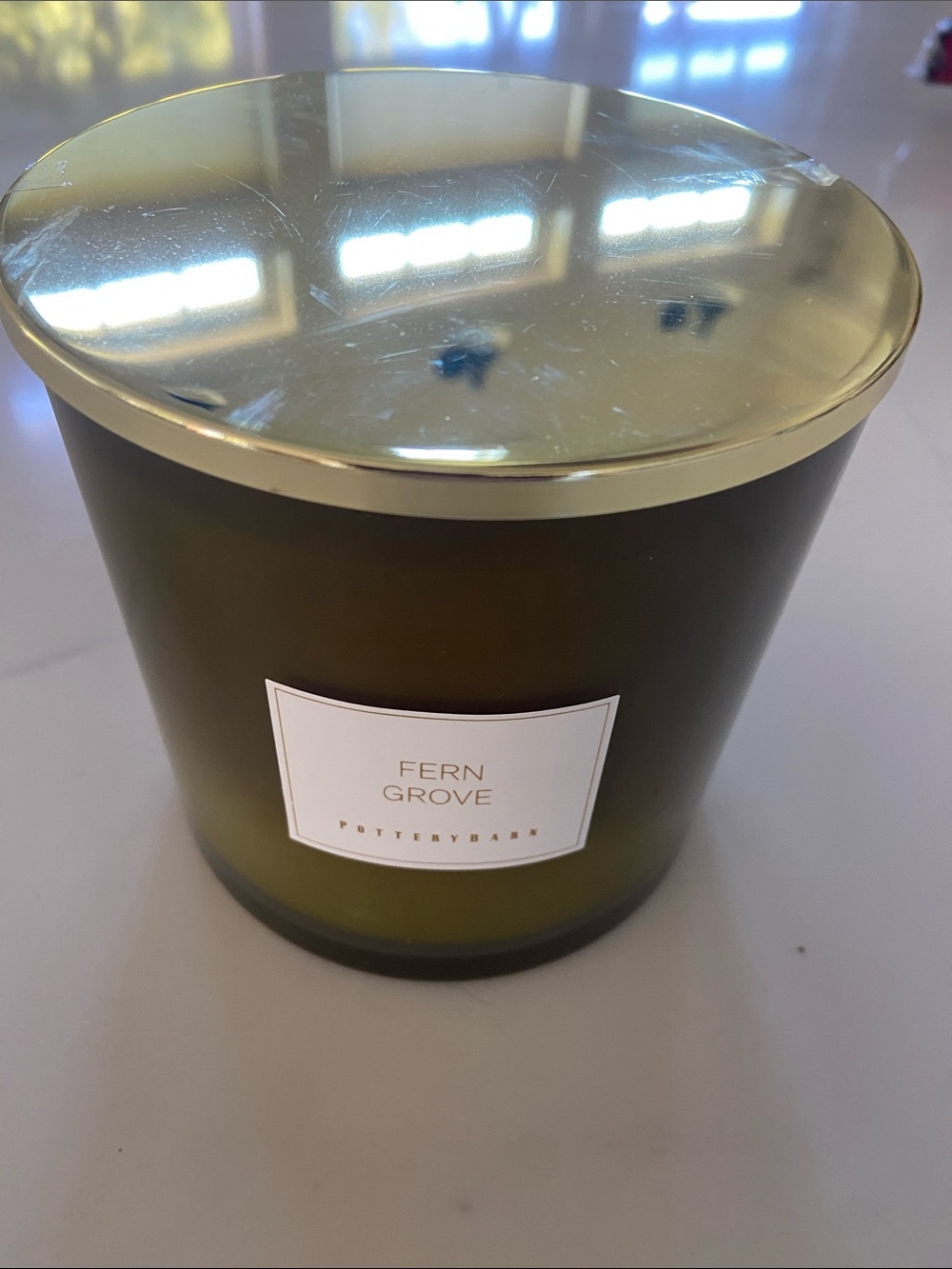 Pottery Barn Fern Grove Candle in Olive Green with Gold Lid